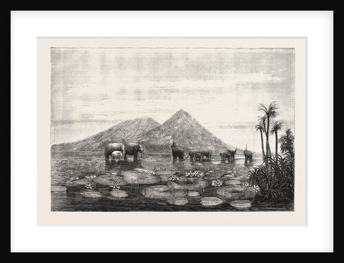 The Great Tank of Minery in the Island of Ceylon by Anonymous