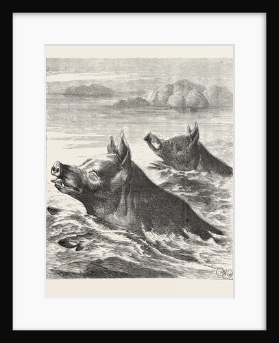 Saving Their Bacon, Escaping, Escape by Anonymous