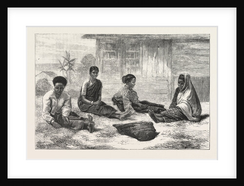 Ceylon Coffee Pickers, Sri Lanka by Anonymous