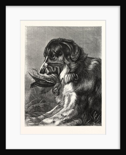 Woodcock-Shooting by Anonymous