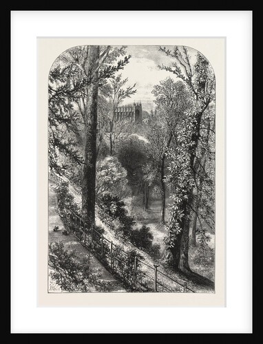 The Slopes, Windsor by Anonymous