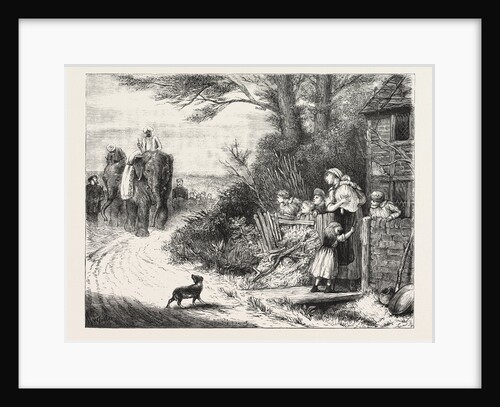 The Prince of Wales's Menagerie, the Elephants  Salar and Jung Being Brought to London by Road by Anonymous