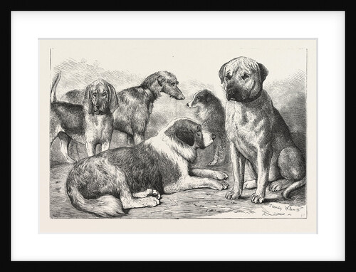 Winners at the Dog Show of the Kennel Club by Anonymous