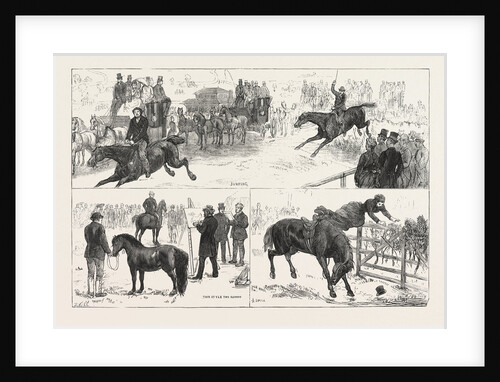 Alexandra Palace Horse Show by Anonymous
