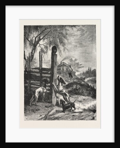 The Besieged Favourite from the Picture by B. Y. G. Brandelius by Anonymous