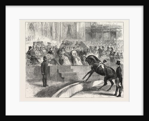 The Prince and Princess of Wales to the Crystal Palace the Royal Party Witnessing the Performance of Myer's Circus by Anonymous