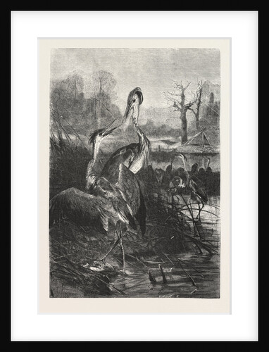 The Quarrelsome Anglers by Anonymous