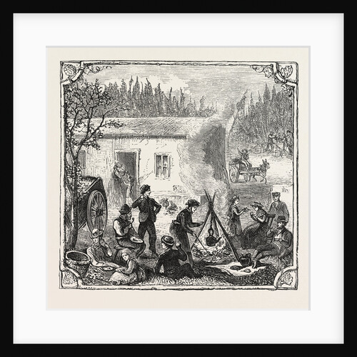 Hops and Hop Pickers, in a Kentish Hop Garden, Kent, England, the Temporary Home by Anonymous