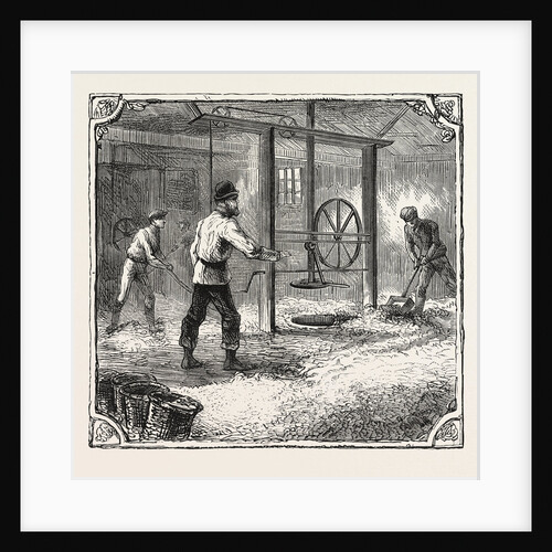 Hops and Hop Pickers, in a Kentish Hop Garden, Kent, England, Filling the Pockets the Press-House by Anonymous