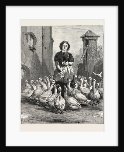 Michaelmas Geese, the Last Meal by Anonymous