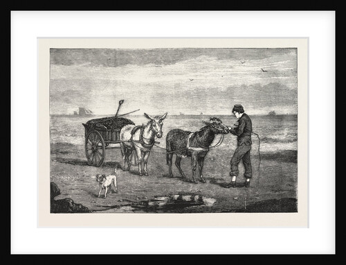 Gathering Seaweed: A Sketch on the Sands at Whitby by Anonymous