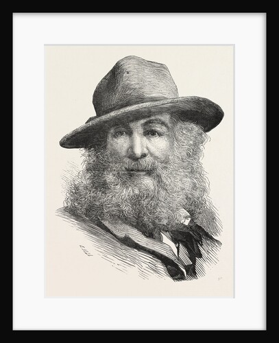 Walt Whitman, May 31, 1819 – March 26, 1892, Was an American Poet, Essayist and Journalist, United States by Anonymous