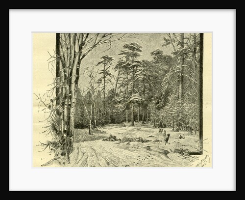 Woods Austria 1891 by Anonymous