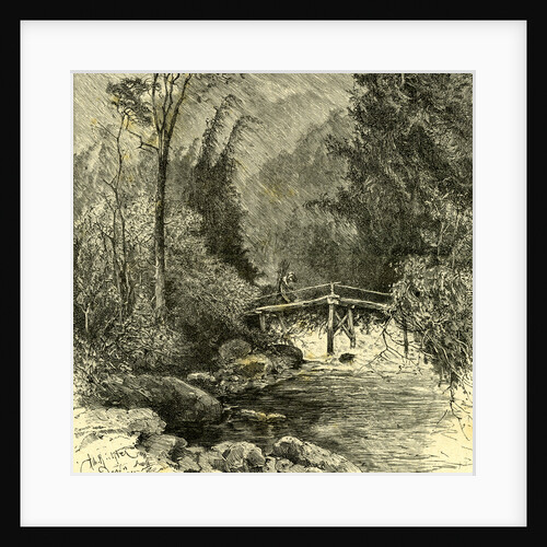 Woods Austria 1891 by Anonymous