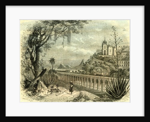 Rio De Janeiro Brazil 19th Century by Anonymous