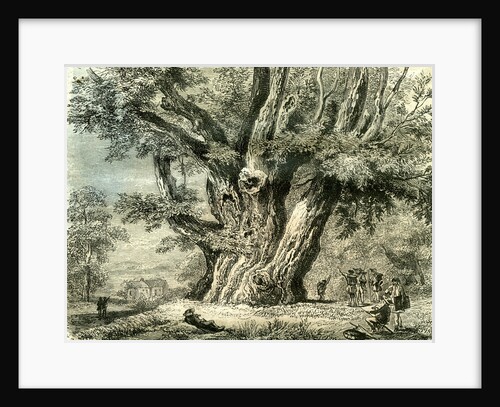 Prilly Lac De Geneve Switzerland 19th Century by Anonymous