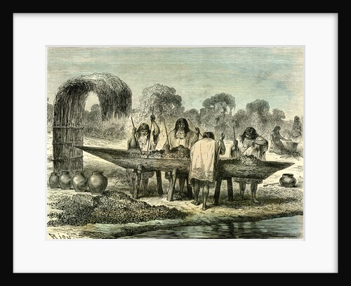 Oil Production of Turtle Eggs by Conibos 1869 Peru by Anonymous
