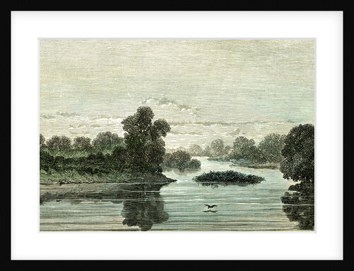 Pachitea River 1869 Peru by Anonymous