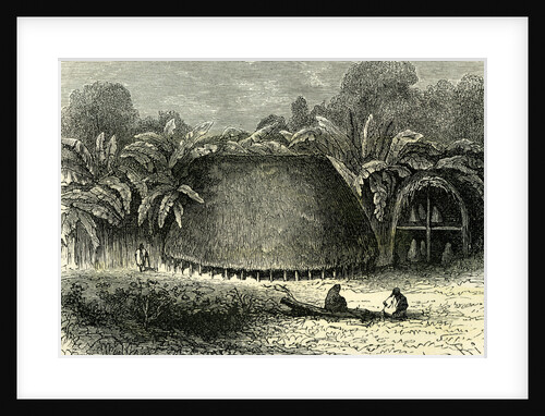 Conibos House 1869 Peru by Anonymous