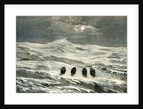 Snow in the Sierra 1869 Peru by Anonymous