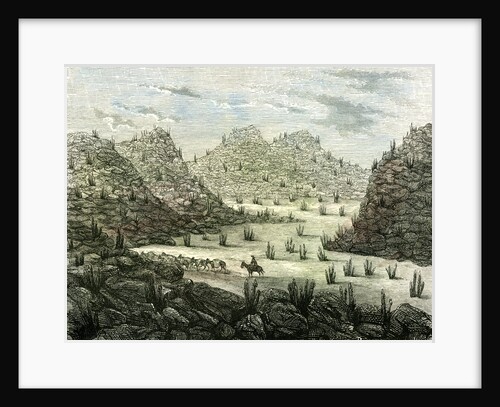 Cerros 1869 Peru by Anonymous