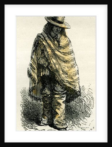 Valley of Arequipachacarero 1869 Peru by Anonymous