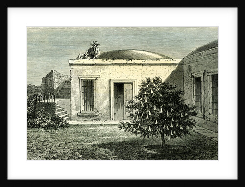 Arequipa House 1869 Peru by Anonymous