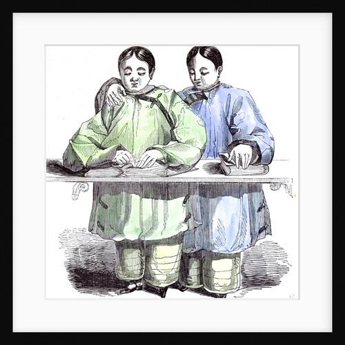 The Blind Chinese Children by Anonymous