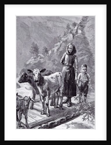 Norway the Family Cows, 1891 by Anonymous