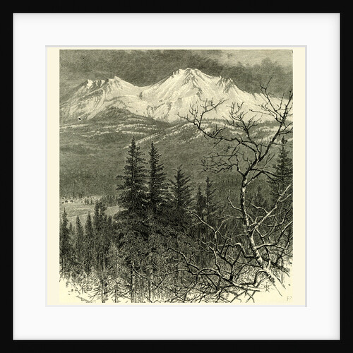 Mount Shasta, 1891 by Anonymous
