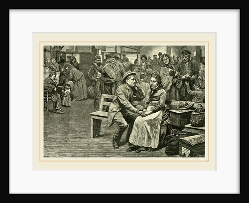 Immigrants at New York, 1891 by Anonymous