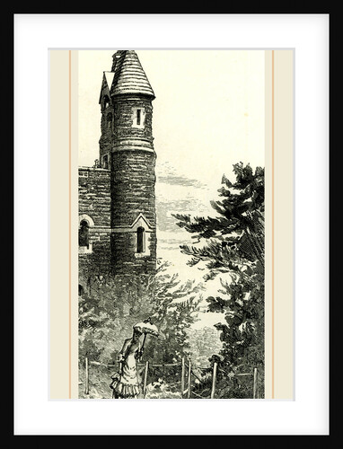The Belvedere, Central Park, New York, 1891 by Anonymous