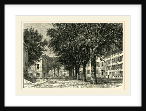 The Elms, Yale University, 1891 by Anonymous