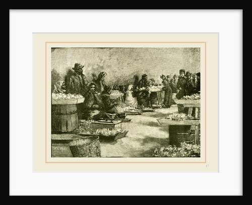Outside the Market, Washington, 19th Century, America by Anonymous