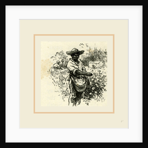 The South, 19th Century by Anonymous