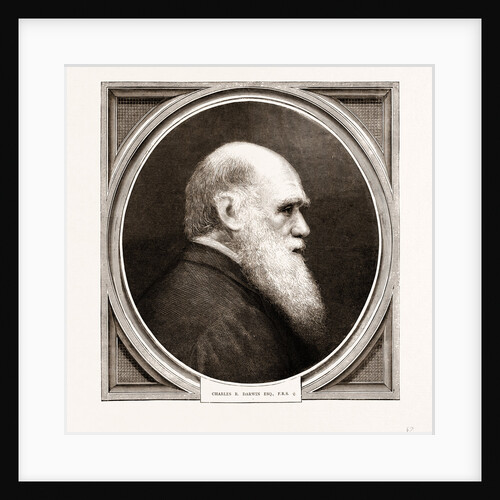 Charles R. Darwin, Esq. F.r.s. by Anonymous