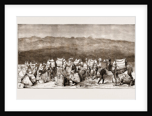 The Famine In Asia Minor, 1875: Departure From Celephkia Of A Convoy With Grain Sent By The Khedive Of Egypt by Anonymous