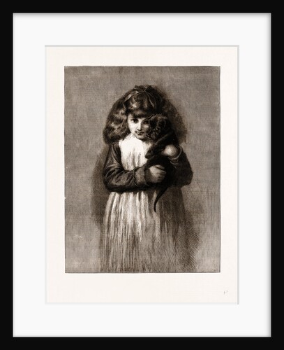 Playfellows, From The Picture By J.d. Watson by Anonymous