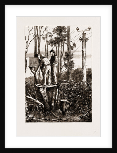 The Recent Transit Of Venus: Preparing For Work At An Australian Bush Station, 1875 by Anonymous