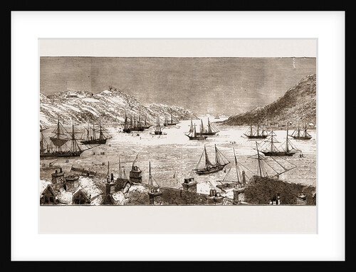 The Seal Fishing Fleet In St. John's Bay, Newfoundland by Anonymous