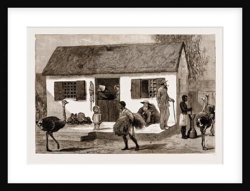 The Rebellion In The Transvaal, South Africa by Anonymous