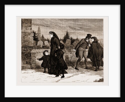 The Land Agitation In Ireland: The Widow And The Assassin, 1881 by Anonymous