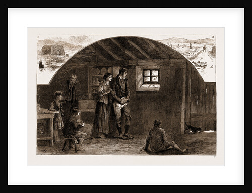The Land Agitation In Ireland, 1881 by Anonymous