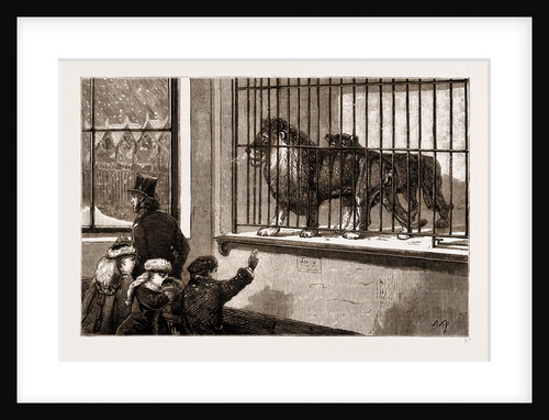 Strangers In A Strange Land: A Winter Day At The zoo by Anonymous