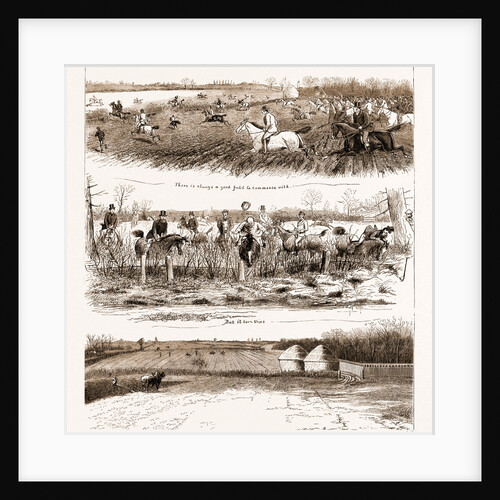 A Day With The Stag Hounds, 1881 by Anonymous