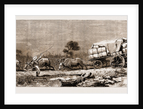 The War In The Transvaal by Anonymous