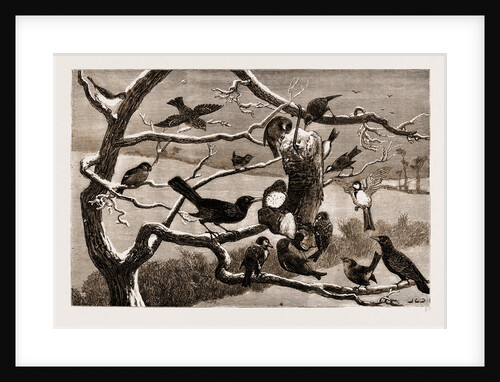 The Late Frost by Anonymous