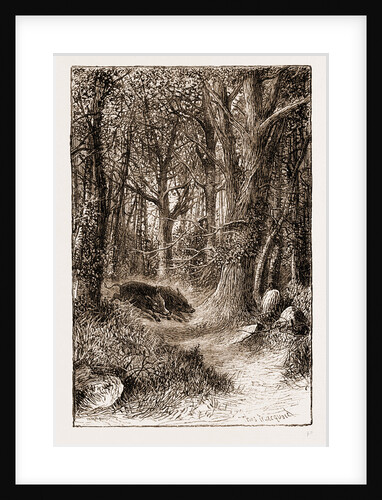 In The Ardennes by Anonymous