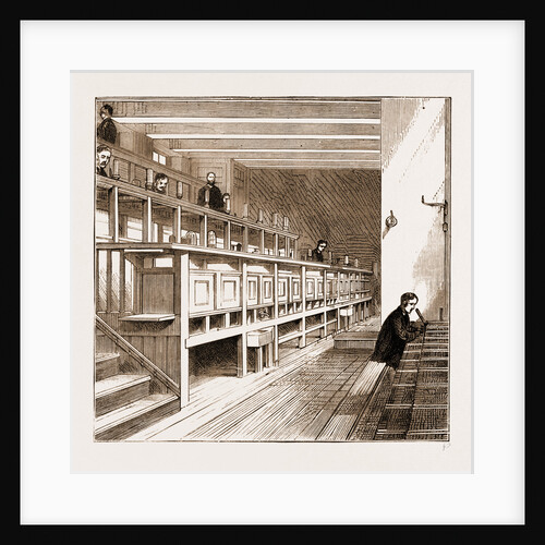 Opening Of The New Wing Of University College, London by Anonymous