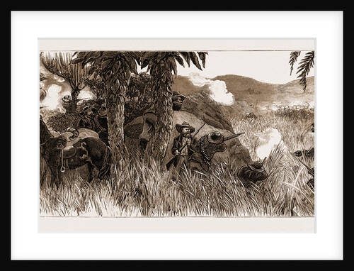 The Rebellion In The Transvaal, South Africa by Anonymous